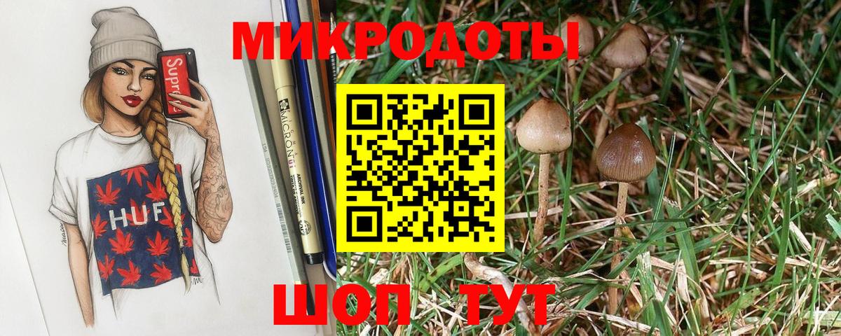 Строитель  Галлюциногенные грибы ЛСД  Вход с VPN 