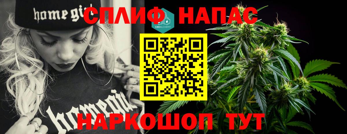 Бошки марихуана план  Канабис MAZAR  Бошки марихуана OG Kush  Вход с VPN  Каннабис конопля  Строитель 